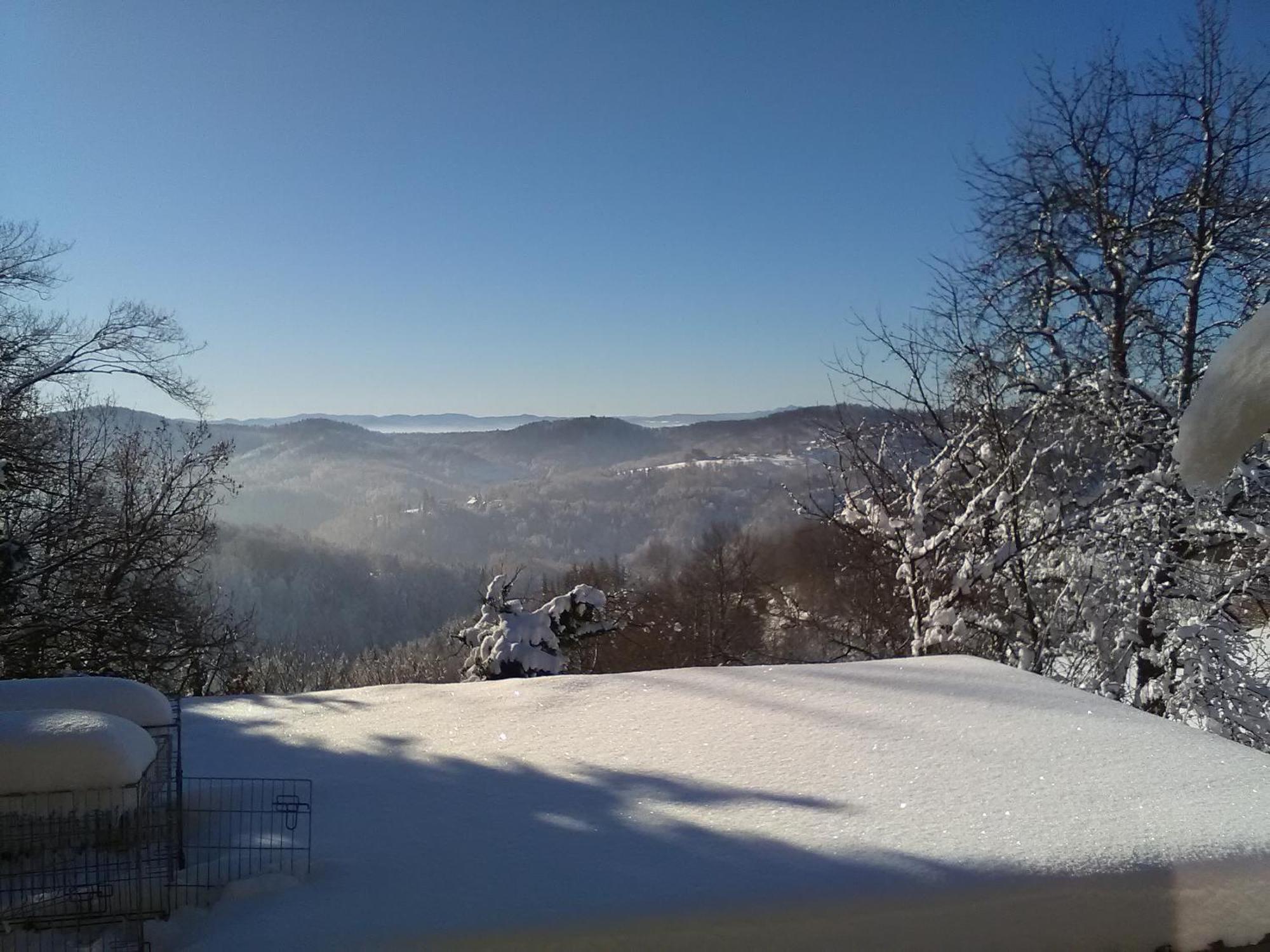 Bed&Breakfast Zilje Vinica Exterior photo