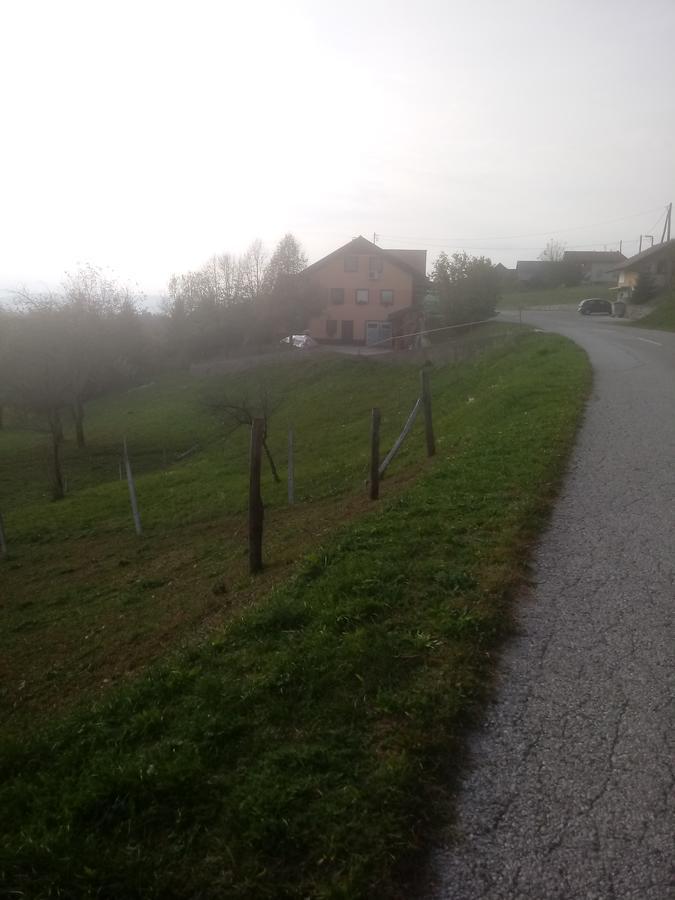 Bed&Breakfast Zilje Vinica Exterior photo