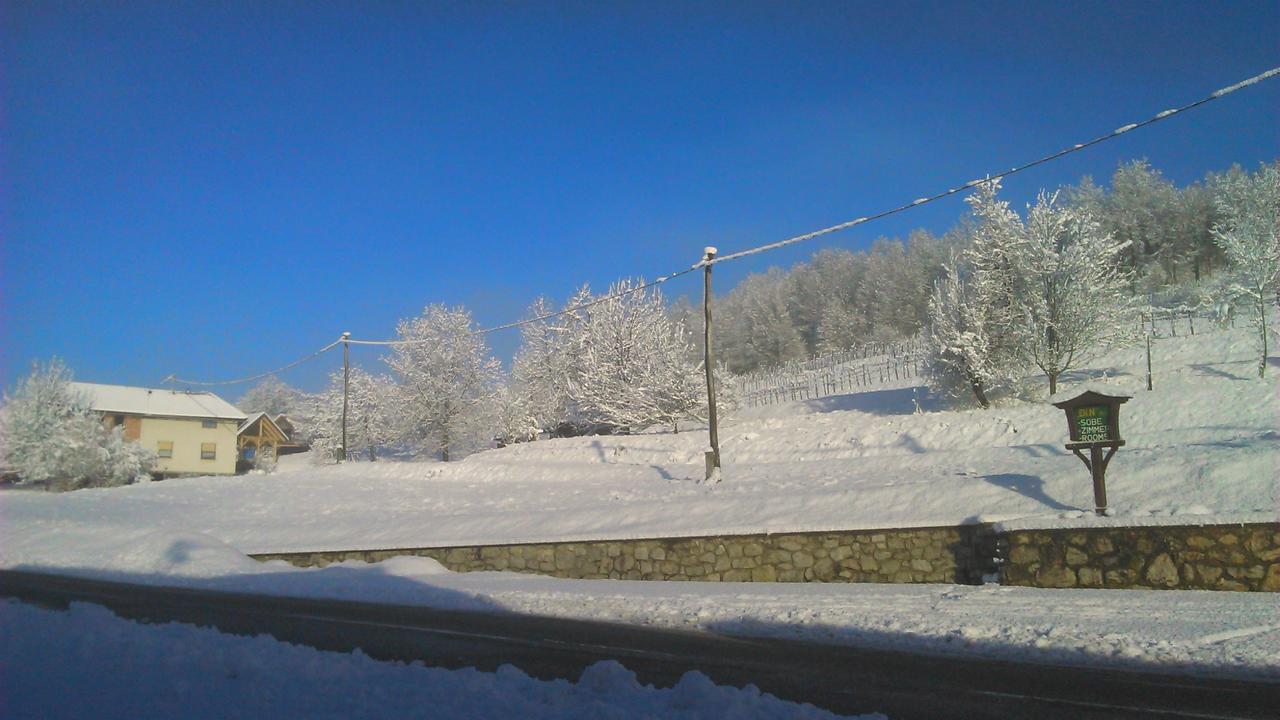 Bed&Breakfast Zilje Vinica Exterior photo